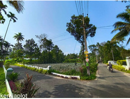49 Cents Residential Land For Sale Near by muvatupuzha-kothamangalam route