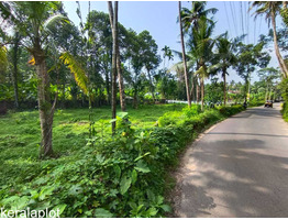 27 Cents Residential Land For Sale Near by muvatupuzha-kothamangalam route
