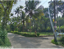27 Cents Residential Land For Sale Near by muvatupuzha-kothamangalam route