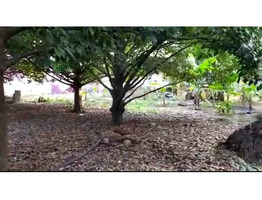 23.75 Cents Residential Land For Sale Near By Nayathode  Junction