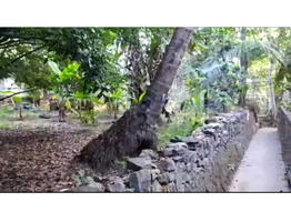 23.75 Cents Residential Land For Sale Near By Nayathode  Junction