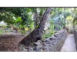 23.75 Cents Residential Land For Sale Near By Nayathode  Junction