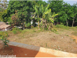 4BHK House & 11 Cent & 10.8 Cent Land For Sale Near By Ranni,Edathramon