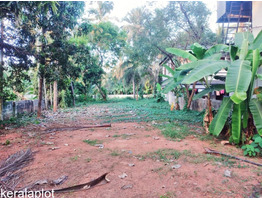 27 Cents Land For Sale Near by chungathara,Malapuram District