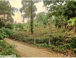 4.20  Acres Land For Sale Near by Pampady, Kottayam District