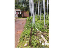 21.5 Cent land Residential Land For Sale Near By Girls Madrasa and Masjid,Kasargod