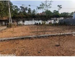 6 Cent Residential Land For Sale Near by chottanikkara, Kanayannur  Junction