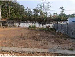 6 Cent Residential Land For Sale Near by chottanikkara, Kanayannur  Junction