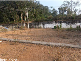 6 Cent Residential Land For Sale Near by chottanikkara, Kanayannur  Junction