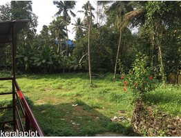 35 cents Land with 3450 Sqft commercial building  for sale in Muthalakodam, Thodupuzha