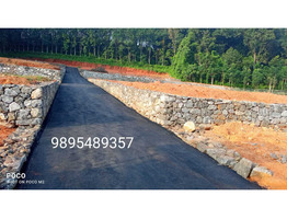 Plot For Sale Near By Thodupuzha Cricket Stadium,idukki district