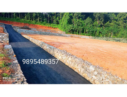 Plot For Sale Near By Thodupuzha Cricket Stadium,idukki district