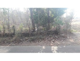 Land for sale (Housing Plot)