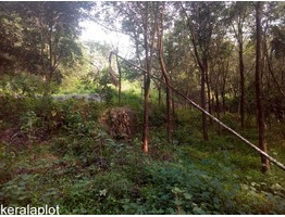 1 acre farm land for sale near kaliyampuzha junction in Kozhikode district