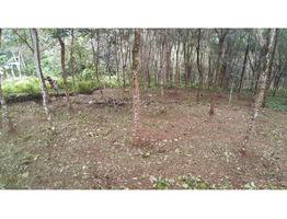 21.6 Cents Land For Sale Near by Ranni Mandhiram