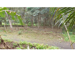 21.6 Cents Land For Sale Near by Ranni Mandhiram