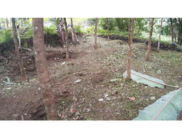 21.6 Cents Land For Sale Near by Ranni Mandhiram