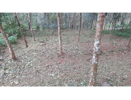 21.6 Cents Land For Sale Near by Ranni Mandhiram