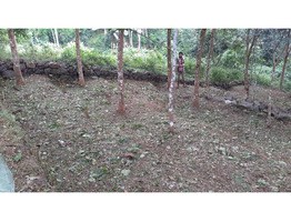 21.6 Cents Land For Sale Near by Ranni Mandhiram