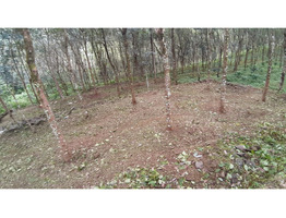 21.6 Cents Land For Sale Near by Ranni Mandhiram