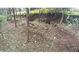 55 Cent Land For Sale Near by Keerukuzhi vayanasala,pathanamthitta District
