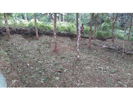 55 Cent Land For Sale Near by Keerukuzhi vayanasala,pathanamthitta District