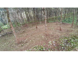 55 Cent Land For Sale Near by Keerukuzhi vayanasala,pathanamthitta District