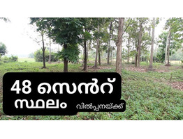 48 Cents Land For Sale Near by Koratty National Highway