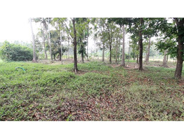 48 Cents Land For Sale Near by Koratty National Highway