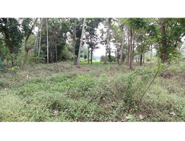 48 Cents Land For Sale Near by Koratty National Highway