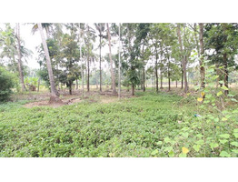 48 Cents Land For Sale Near by Koratty National Highway