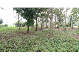 48 Cents Land For Sale Near by Koratty National Highway