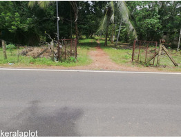 10 Acre land  for sale near by Chembil Highway