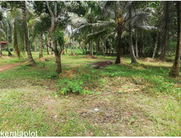 10 Acre land  for sale near by Chembil Highway