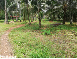 10 Acre land  for sale near by Chembil Highway