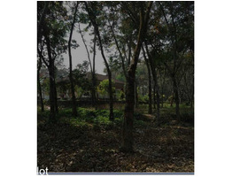 1.47 Acre land 3300 Sqft house for sale near by  Vadavathoor Junction,kottayam district