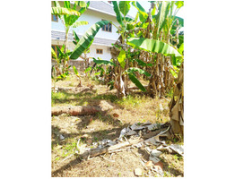 15 cent  land for sale Near Thrikkodithanam Panchayth Kottyam,District