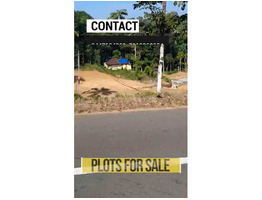65 Residential Land For Sale Near by vrindhavanam Junction,Pathanmthitta
