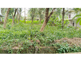 10 cent Residential  Land For Sale Near by  Pala Bypass,Kottayam District