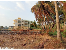 Wet land near neliyampathy check post