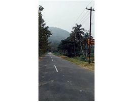 Wet land near neliyampathy check post