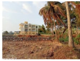 Wet land near neliyampathy check post