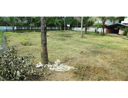 14 Cent Square House Plot Sale Near by Kalady Police Station