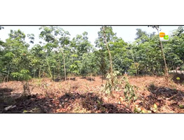 31 Cent Land for sale