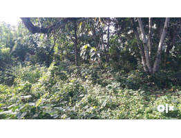 Prime 5-Cent Residential Plot for Sale in Pullichira, Kottiyam – Your Perfect Dream Home Awaits!
