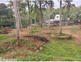 40 Cents Land For sale at thachottukavu jaunction