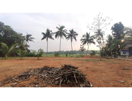 30 Cents Land For Sale Kottekkad