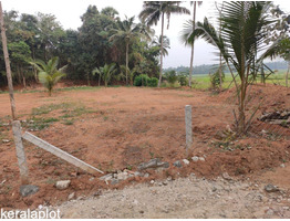 30 Cents Land For Sale Kottekkad