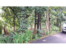 35 Cent Land For sale karalam,mukundapuram Taluk