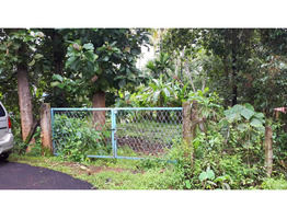 35 Cent Land For sale karalam,mukundapuram Taluk